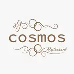 Sky Cosmos